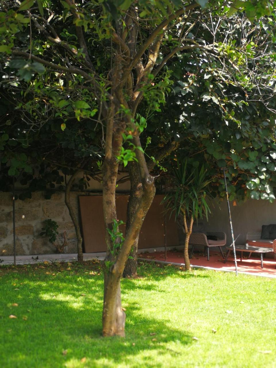 House Of Pandora Otel Porto Dış mekan fotoğraf