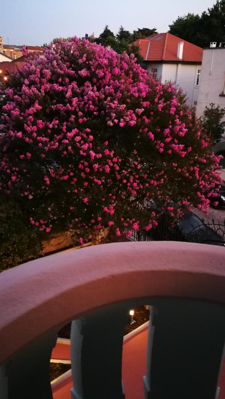 House Of Pandora Otel Porto Dış mekan fotoğraf